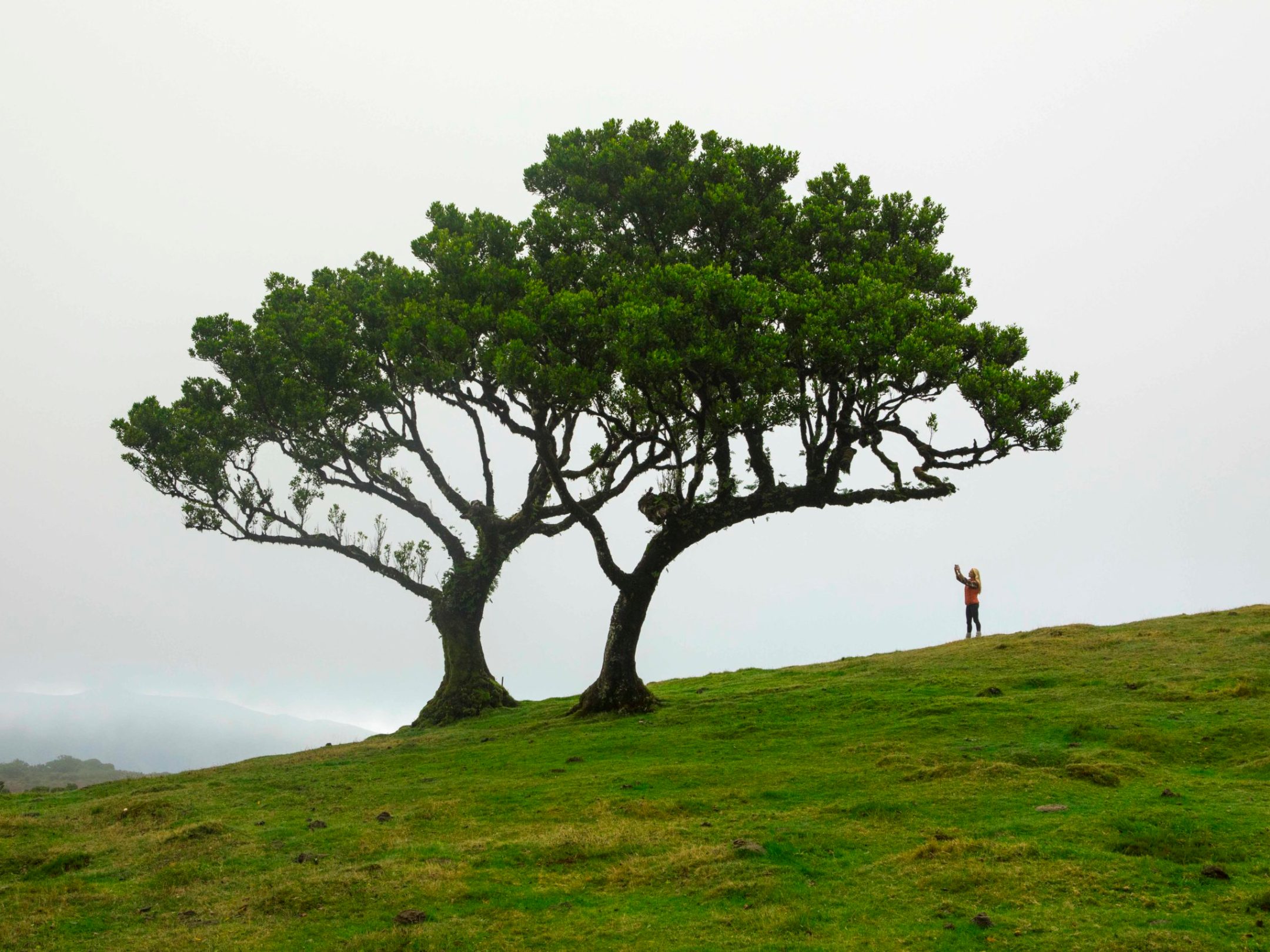 a person standing on a lush green field